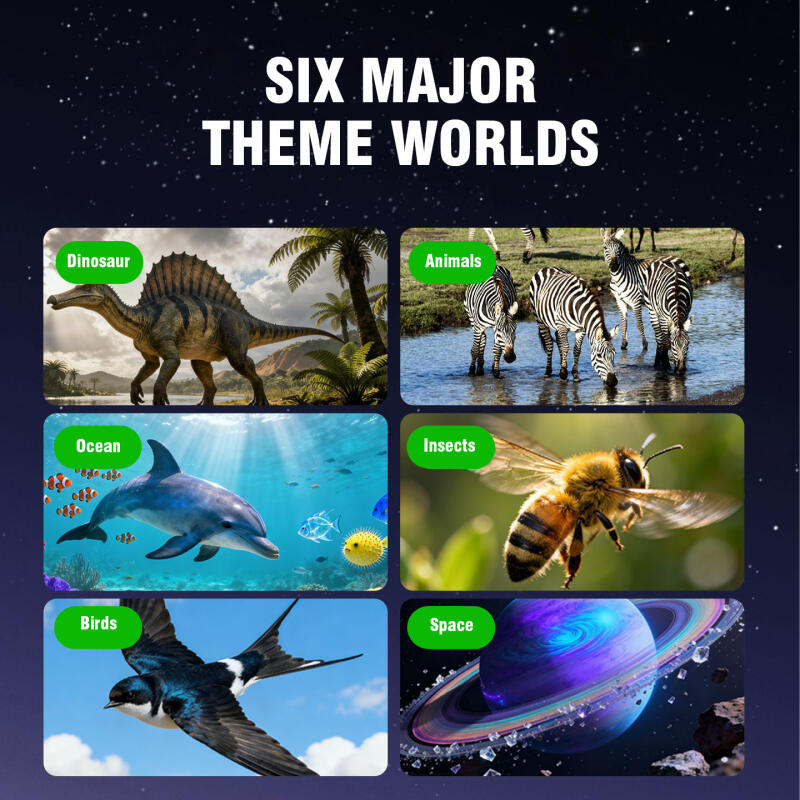3D Stereoskopischer Filmbetrac – Kids Education Film Bewertung und Preis